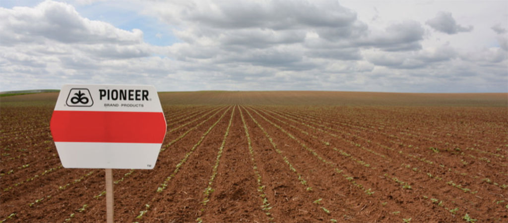 pioneer signal in field